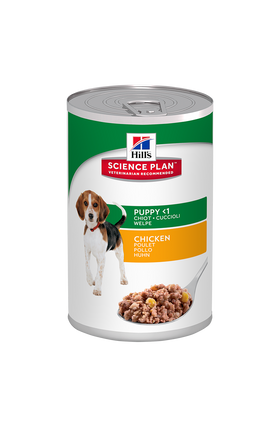 Healthy Development Puppy - Wet